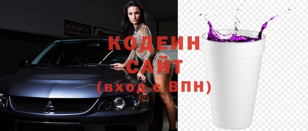 индика Баксан