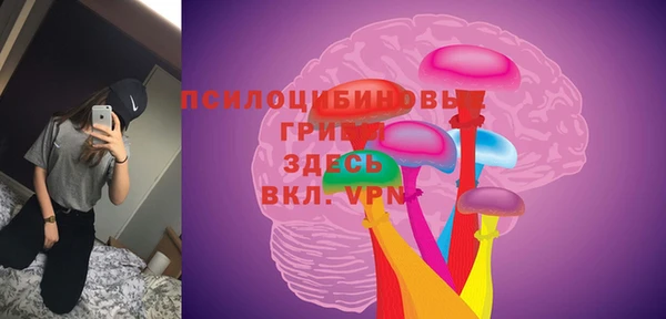 индика Баксан