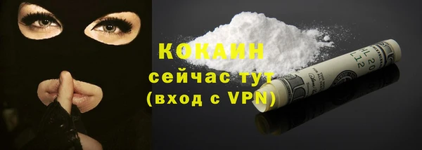 индика Баксан