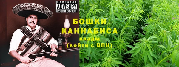 индика Баксан