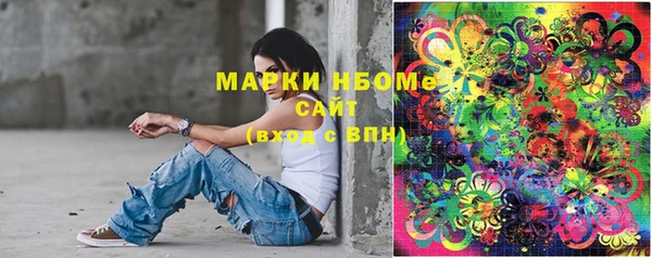 индика Баксан