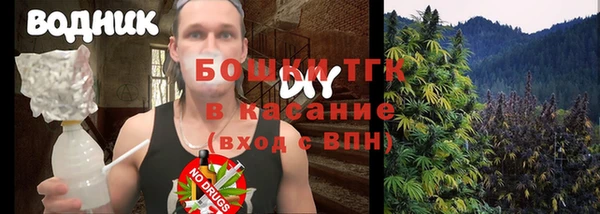 индика Баксан