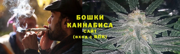 индика Баксан