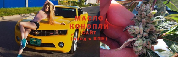 индика Баксан